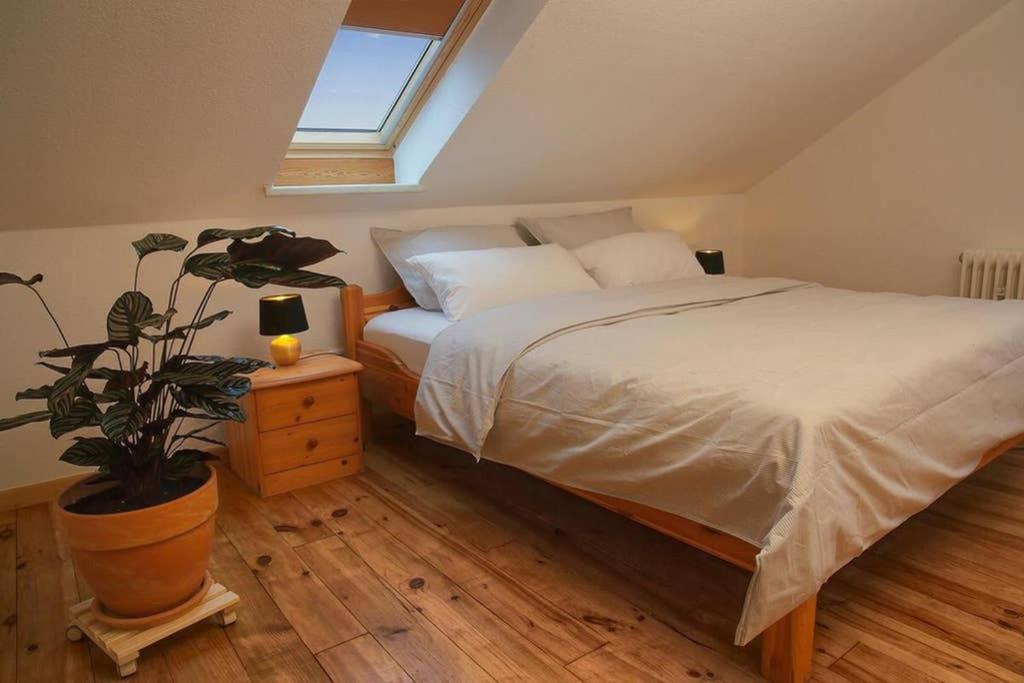 Ferienwohnung “Mount Meissner” Germerode Exteriör bild
